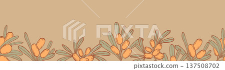 Sea Buckthorn Seamless Border. Botanical Edge with Orange Berries and Green Leaves on Beige. Vector illustration hand-drawn. Organic Product Footer Decorative Horizontal Banner Sea Buckthorn Seamless Border. Botanical Edge with Orange Berries and Green Leaves on Beige. Vector illustration hand-drawn. Organic Product Footer Decorative Horizontal Banner 137508702