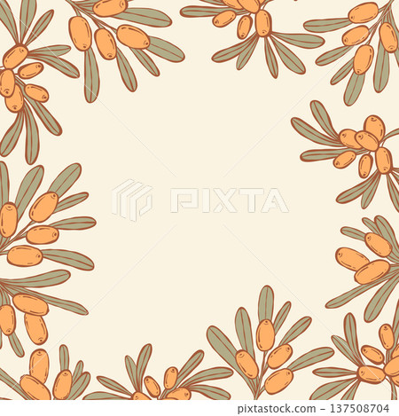 Sea Buckthorn Frame. Botanical Border Template with Orange Berries and Leaves on Light Background. Organic Product Square Banner with Empty Copy Space. Vector illustration hand-drawn 137508704