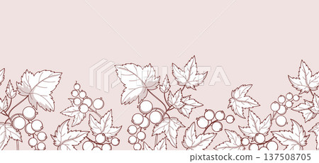 Botanical Currant Seamless Border. Outline Branches Berries with Leaves Background. Vintage Fruit Horizontal Template. Monochrome Ornament banner. Vector illustration 137508705