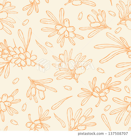 Line Art Sea Buckthorn Seamless Pattern. Branch and Berries on Light Background. Outline hand-drawn. Botanical template Ornament. Vector Square illustration 137508707