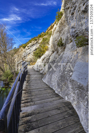 Paseo del Rio Oca Path, Spain Paseo del Rio Oca Path, Spain 137509104