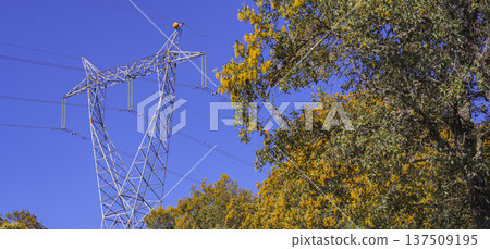 Electric Tower 137509195