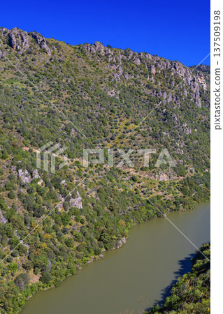 Mirador del Duero Viewpoint Walking Route, Spain Mirador del Duero Viewpoint Walking Route, Spain 137509198