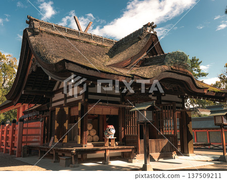 住吉大社 住吉大社 137509211