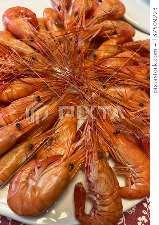Spanish Camaron Shrimp, Spain Spanish Camaron Shrimp, Spain 137509223