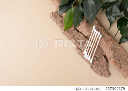Eco-friendly wooden cotton swabs on tree bark and green leaves promote a sustainable approach to beauty and self-care. Green lifestyle, eco-consciousness, consumption Eco-friendly wooden cotton swabs on tree bark and green leaves promote a sustainable approach to beauty and self-care. Green lifestyle, eco-consciousness, consumption 137509679