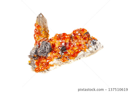Spessartine mineral stone, orange, red garnet with quartz on white background Spessartine mineral stone, orange, red garnet with quartz on white background 137510619