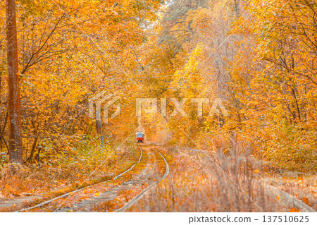 Autumn forest through which the tram travels, Kyiv and rails Autumn forest through which the tram travels, Kyiv and rails 137510625