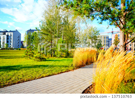 Landscape Architecture for Public Spaces. Garden Pathway. Walkway in green spaces. Landscape design. Landscape Architecture for Public Spaces. Garden Pathway. Walkway in green spaces. Landscape design. 137510763