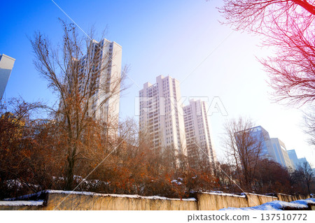 Urban landscape featuring high-rise residential buildings surrounded by trees during winter  137510772