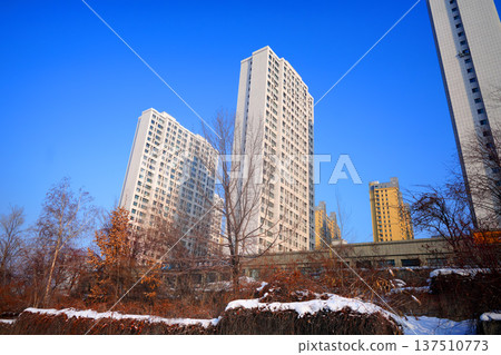 Urban landscape featuring high-rise residential buildings surrounded by trees during winter  137510773