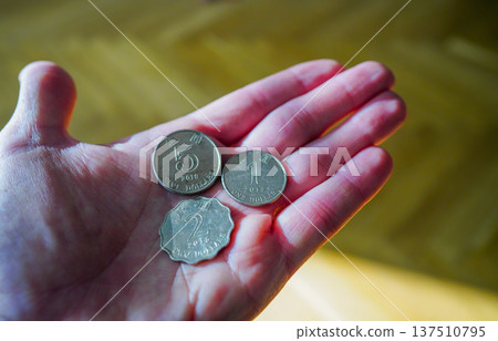 Coins of the Hong Kong dollar on hand. Hong Kong Money cash background 137510795