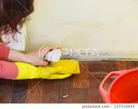 Person washing mold out of wall 137510934