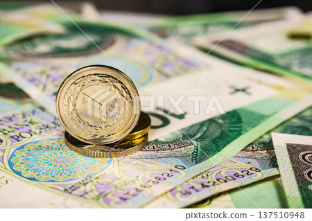 Close up polish zloty banknotes and coins Close up polish zloty banknotes and coins 137510948