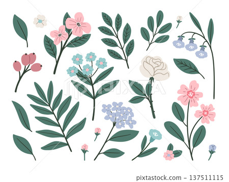 Collection of delicate flowers and branches. Romantic botanical set with green leaves vector illustration 137511115