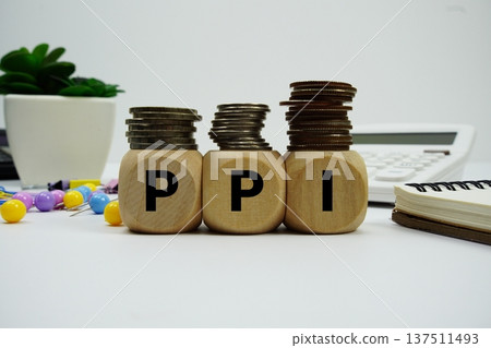 Stack of coins with wood blocks with "PPI (Producer Price Index)" Financial concept Stack of coins with wood blocks with "PPI (Producer Price Index)" Financial concept 137511493