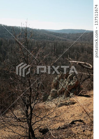 Rock formations at Orlove Stene viewpoint in Fruska Gora, Serbia overlooking a vast forest valley. Rugged terrain and clear sky highlight adventure and nature travel themes Rock formations at Orlove Stene viewpoint in Fruska Gora, Serbia overlooking a vast forest valley. Rugged terrain and clear sky highlight adventure and nature travel themes 137511674