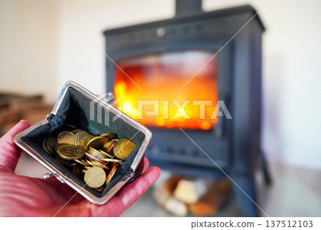 Heating payment. Save money wood stove. Euro money coins for payment of heating firewood. Heating payment. Save money wood stove. Euro money coins for payment of heating firewood. 137512103