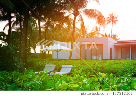 Lounge chairs under an umbrella at beach resort in palm trees Relax on lounge chairs palm trees Lounge chairs under an umbrella at beach resort in palm trees Relax on lounge chairs palm trees 137512162