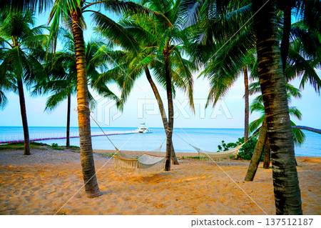 Hammock on sea beach resort. Island holiday. Hammock under palm trees on tropical at ocean. Hammock on sea beach resort. Island holiday. Hammock under palm trees on tropical at ocean. 137512187