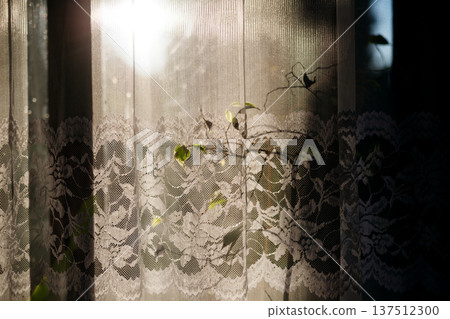 Sunlight shining through retro lace curtain on window. Sunlight shining through retro lace curtain on window. 137512300
