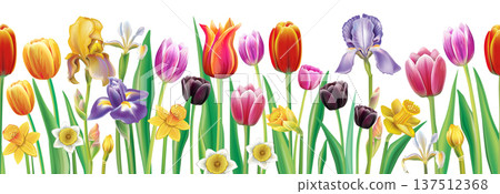 Realistic spring flowers seamless border vector pattern editable tulip iris daffodil floral elements Realistic spring flowers seamless border vector pattern editable tulip iris daffodil floral elements 137512368