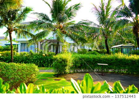 Tropical landscape resort background. Swimming pool with sun loungers with palm trees on villa. Tropical landscape resort background. Swimming pool with sun loungers with palm trees on villa. 137512443