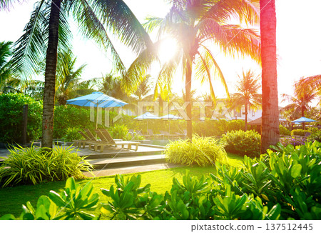 Resort setting with palm trees in sun shining over lounge chairs by pool in tropical resort hotel. Resort setting with palm trees in sun shining over lounge chairs by pool in tropical resort hotel. 137512445