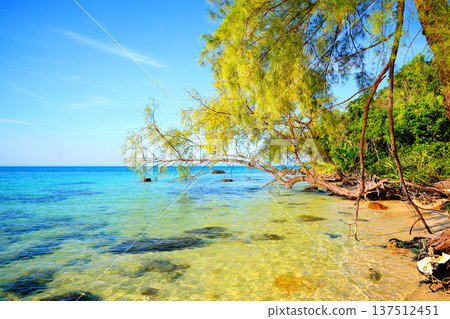 Coast with clear sea water, rocks in tropical island. Wild rocky shore at jungle Cambodia.  137512451