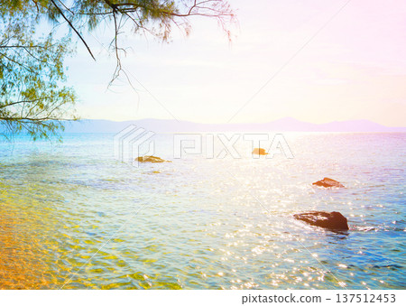 Coast with clear sea water, rocks in tropical island. Wild rocky shore at jungle Cambodia. Coast with clear sea water, rocks in tropical island. Wild rocky shore at jungle Cambodia. 137512453