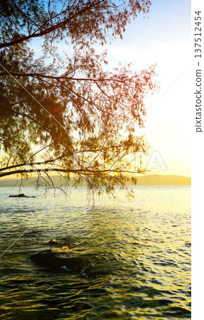 Shoreline with clear ocean water on sunset. Coast in tropical wild island. Shoreline with clear ocean water on sunset. Coast in tropical wild island. 137512454