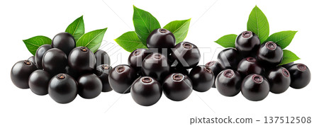 Ripe black nightshade berries with green leaves isolated on white background, concept of natural fruit and herbal medicine Ripe black nightshade berries with green leaves isolated on white background, concept of natural fruit and herbal medicine 137512508