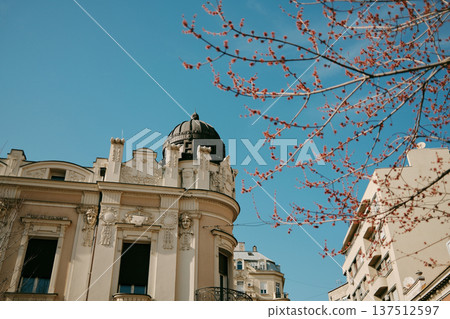 Decorative historic building with ornate facade and dome framed by flowering spring tree branches against a blue sky in Belgrade 137512597