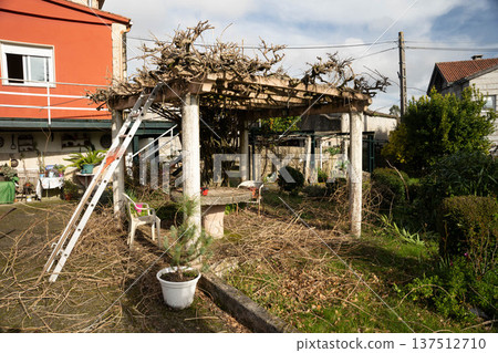 Rustic garden pergola Rustic garden pergola 137512710