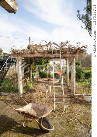 Rustic garden pergola Rustic garden pergola 137512711