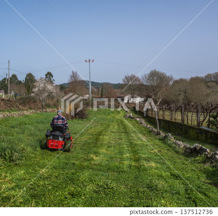 Lawn mower in the garden Lawn mower in the garden 137512736