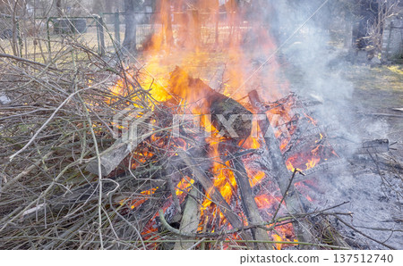 Bonfire made of wood and branches in the garden. 137512740