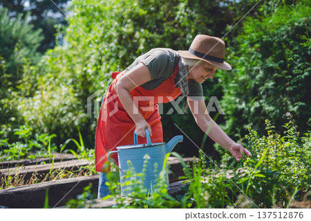 Woman watering plants in organic garden on sunny summer day. Woman watering plants in organic garden on sunny summer day. 137512876