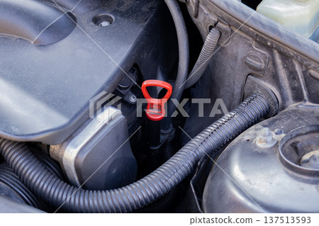 A person is using a dipstick to check the engine oil level of a car in a garage. The dipstick is red and stands out in the engine compartment A person is using a dipstick to check the engine oil level of a car in a garage. The dipstick is red and stands out in the engine compartment 137513593