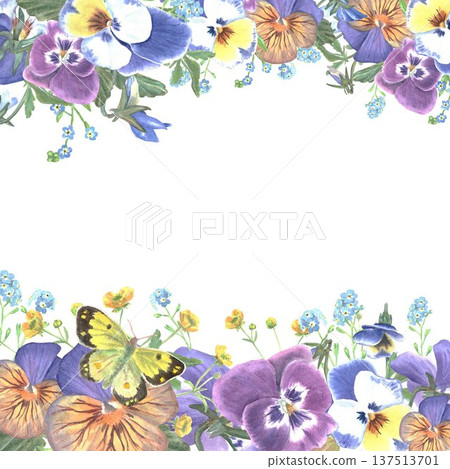 Beautiful rectangular horizontal frame with blue, maroon, orange pansies and butterflies hand painted in watercolor on isolated background,simple clip art spring botanical illustration for design. Beautiful rectangular horizontal frame with blue, maroon, orange pansies and butterflies hand painted in watercolor on isolated background,simple clip art spring botanical illustration for design. 137513701