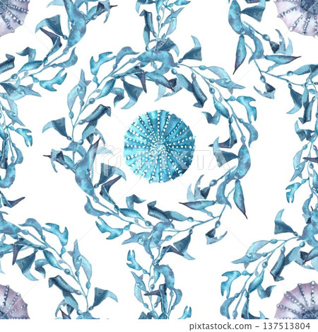 A seamless pattern with silver, purple, and blue sea urchins and wavy seaweed with leaves. Hand-drawn watercolor illustration on an isolated background. Simple marine life clip art for design. 137513804