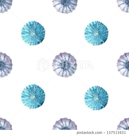 Seamless pattern with pearlescent silver and blue sea urchins. Hand-drawn in watercolor on an isolated background. Simple marine life biology clip art for designing various objects. 137513831