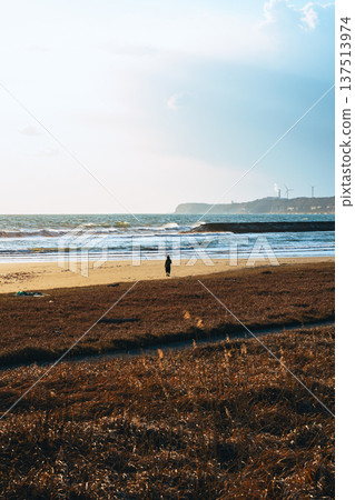 People walking at Choshi Marina Beach People walking at Choshi Marina Beach 137513974