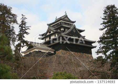 Matsue City, Shimane Prefecture! National Treasure Matsue Castle with its surviving castle tower Matsue City, Shimane Prefecture! National Treasure Matsue Castle with its surviving castle tower 137514693