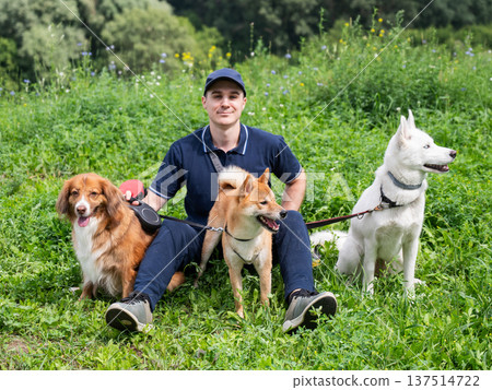 A Caucasian man walks with three dogs. Dog walker. 137514722