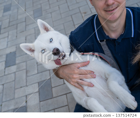 A man hugs his dog on a walk.  137514724