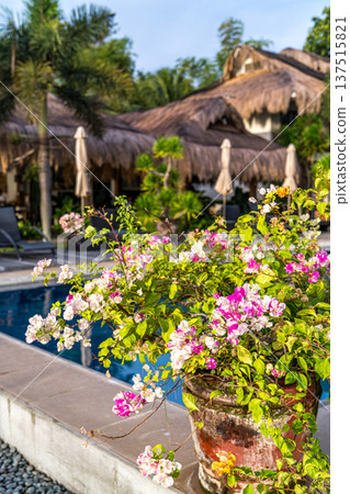 Tropical Resort Tropical Resort 137515821