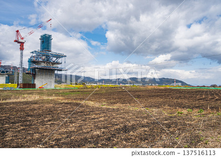 大阪府高槻市蘆葦叢焚燒後,新名神高速公路正在蘆葦叢中施工。 大阪府高槻市蘆葦叢焚燒後,新名神高速公路正在蘆葦叢中施工。 137516113