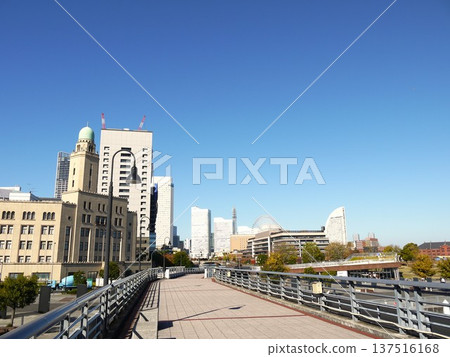 Elephant's nose park scenery Elephant's nose park scenery 137516168