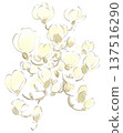 Early spring flower, watercolor illustration of white magnolia 137516290